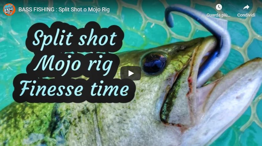 BASS FISHING : Split Shot o Mojo Rig - Luca Quintavalla Bass Fishing