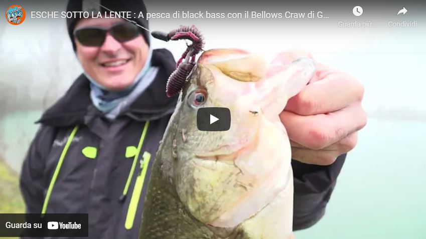 ESCHE SOTTO LA LENTE : A pesca di black bass con il Bellows Craw di Geecrack